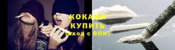 2c-b Богородицк