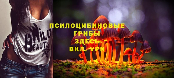 2c-b Богородицк