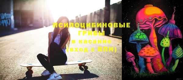 гашик Богородск
