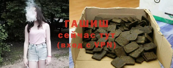 гашик Богородск